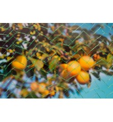 Filet anti-oiseaux Mono 5x4m vert