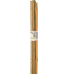 Tuteurs bambou 90cm - Ø8/10mm (7 pièces)