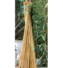 Tuteurs bambou 90cm - Ø8/10mm (7 pièces)