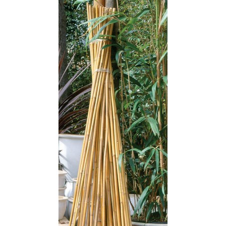 Tuteurs bambou 90cm - Ø8/10mm (7 pièces)