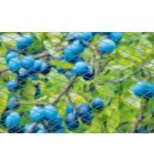 Filet anti-oiseaux Nano 10x4m bleu