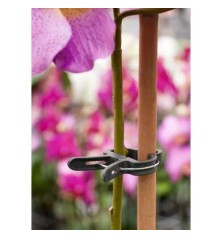 Pinces ajustables de tuteurage, verte - Ø24 mm (10 pièces)
