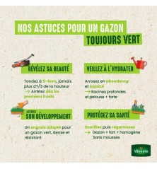 Gazon ombre 1kg