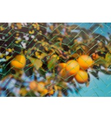 Filet anti-oiseaux Mono 10x4m vert