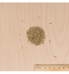Gazon ombre 1kg