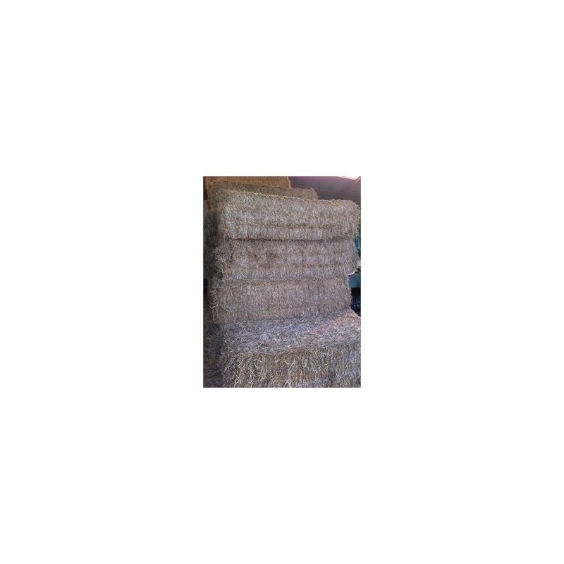 Ballot de Paille