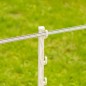 Ruban PowerLine 20mm