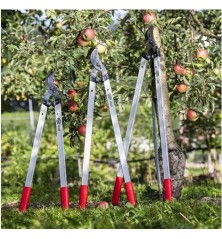 Élagueur FELCO 221-80 Tête de coupe droite