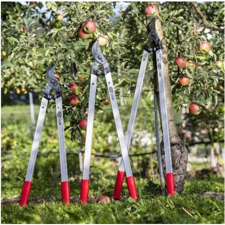 Élagueur FELCO 221-80 Tête de coupe droite