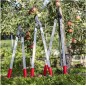 Élagueur FELCO 221-80 Tête de coupe droite