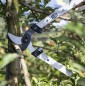 Élagueur FELCO 221-80 Tête de coupe droite