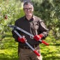 Élagueur FELCO 221-80 Tête de coupe droite