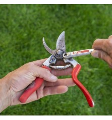Aiguisoir rapide FELCO 905