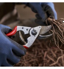 Sécateur FELCO 14