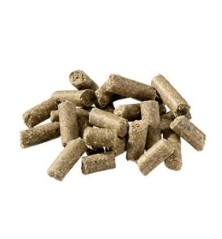 Condition 20 kg