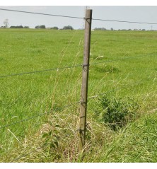 Fil Medium Tensile 1,8mm