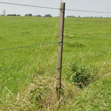 Fil Medium Tensile 1,8mm
