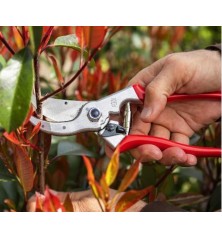 Sécateur FELCO 4
