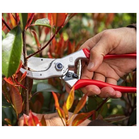 Sécateur FELCO 4