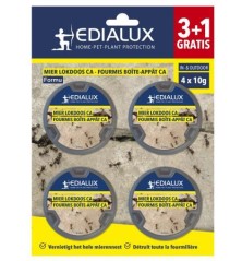 Fourmis boite appat