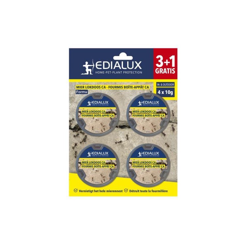 Fourmis boite appat