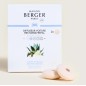 Recharge diffuseur voiture Jardin d'Agaves