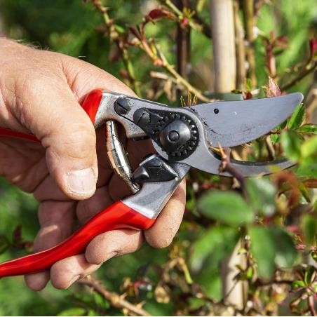 Sécateur FELCO 9 Pour Gauchers