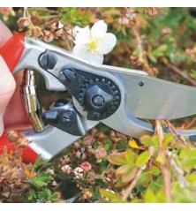 Sécateur FELCO 9 Pour Gauchers