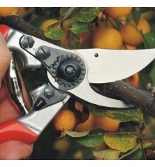 Sécateur FELCO 9 Pour Gauchers