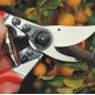 Sécateur FELCO 9 Pour Gauchers