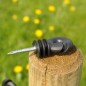 Isolateur à vis BS bois 250p