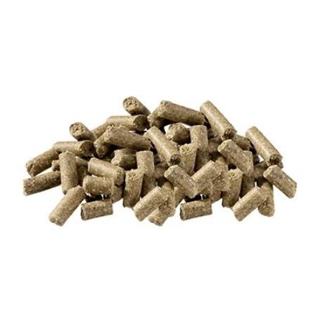 AllSports 20 kg