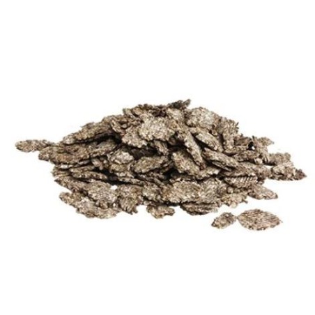 SpeediBeet 15 kg