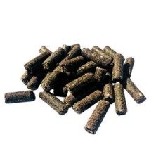 Performance 20 kg