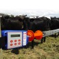 Programmateur d'ouverture et de fermeture automatique