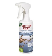 Quick Exit