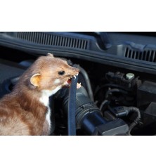 Spray Anti-Fouine 500ml