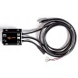 Système de sauvegarde de batterie 12V