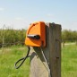 Interrupteur orange