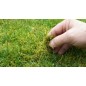 Empress Garden 250m²  500g