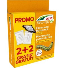 Cydalima-Pheromone DCM contre la pyrale du buis 2+2