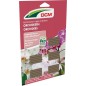 Bâtonnets Orchidées DCM