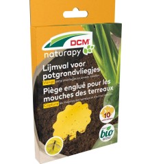 Piège englué pour mouches des terreaux DCM