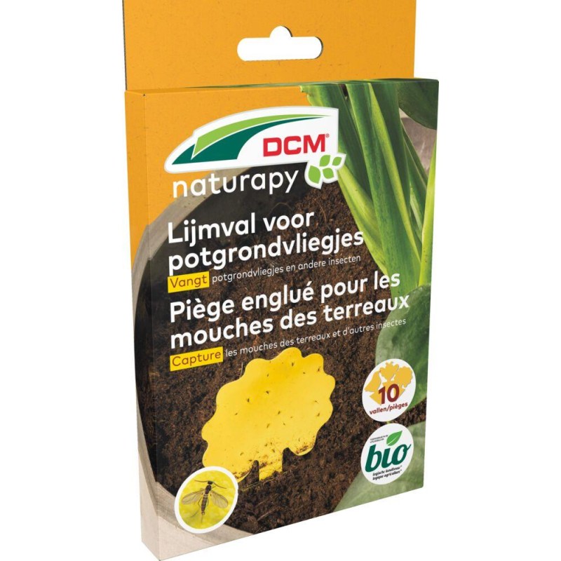 Piège englué pour mouches des terreaux DCM