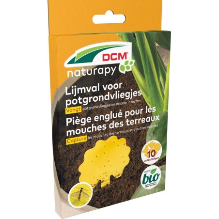 Piège englué pour mouches des terreaux DCM