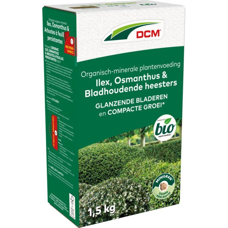 Ilex, Osmanthus & Arbustes à feuilles persistantes DCM 1,5kg
