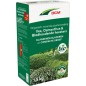 Ilex, Osmanthus & Arbustes à feuilles persistantes DCM 1,5kg
