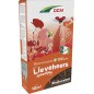 Mélange de Fleurs Coccinelles DCM 0,520kg 10m²