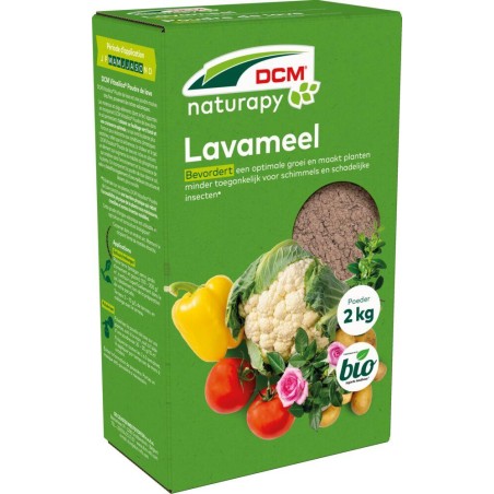 Vitasilica DCM 2kg Poudre de Lave Naturelle