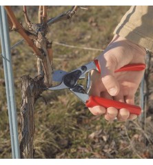 Sécateur FELCO 12 Poignée tournante